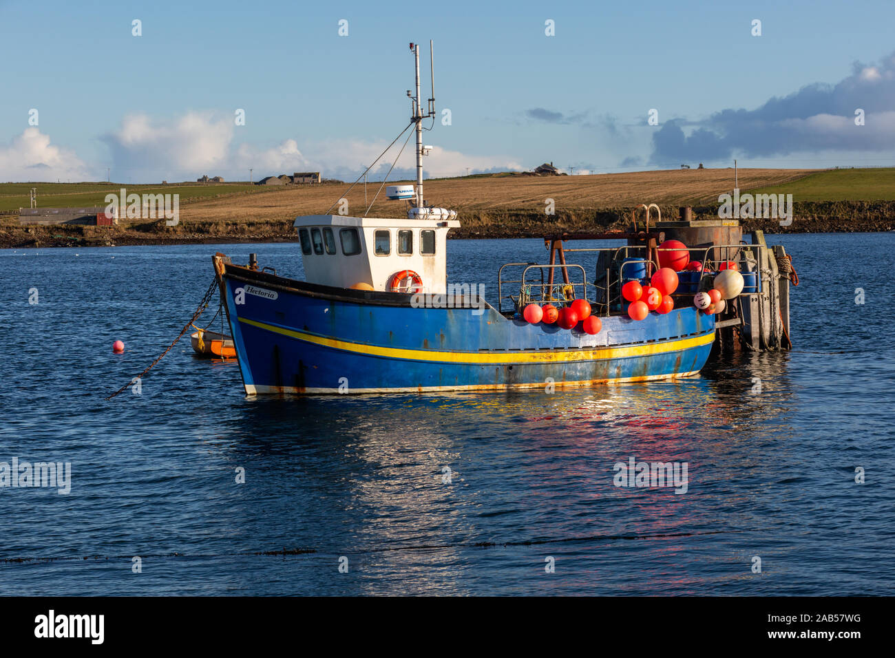 Fischerboot, Orkney Islands, UK Stockfoto