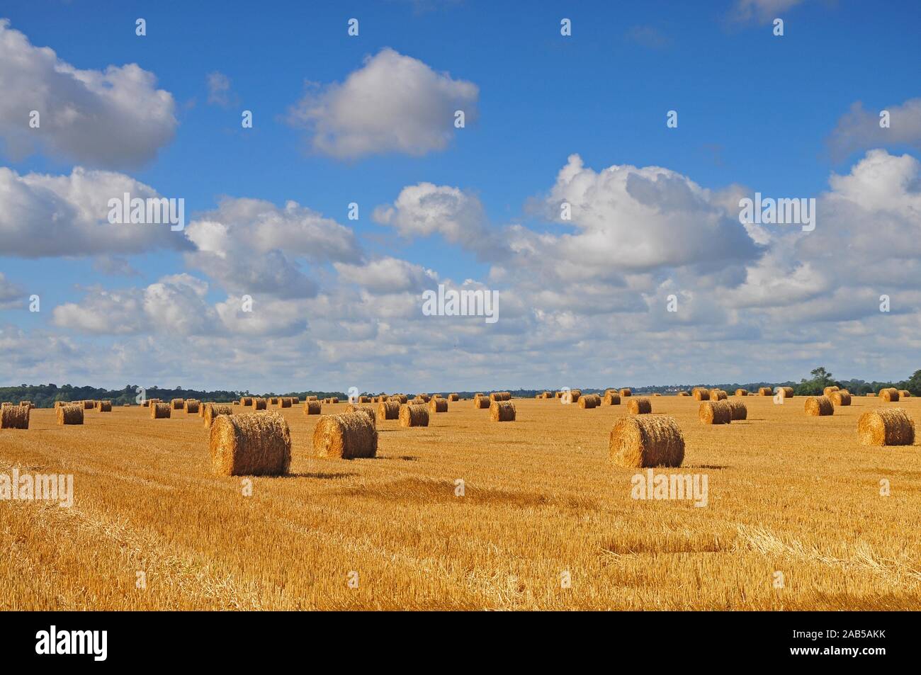 Strohballen auf einem abgeernteten Weizenfeld in der Normandie, Frankreich, Europa Stockfoto