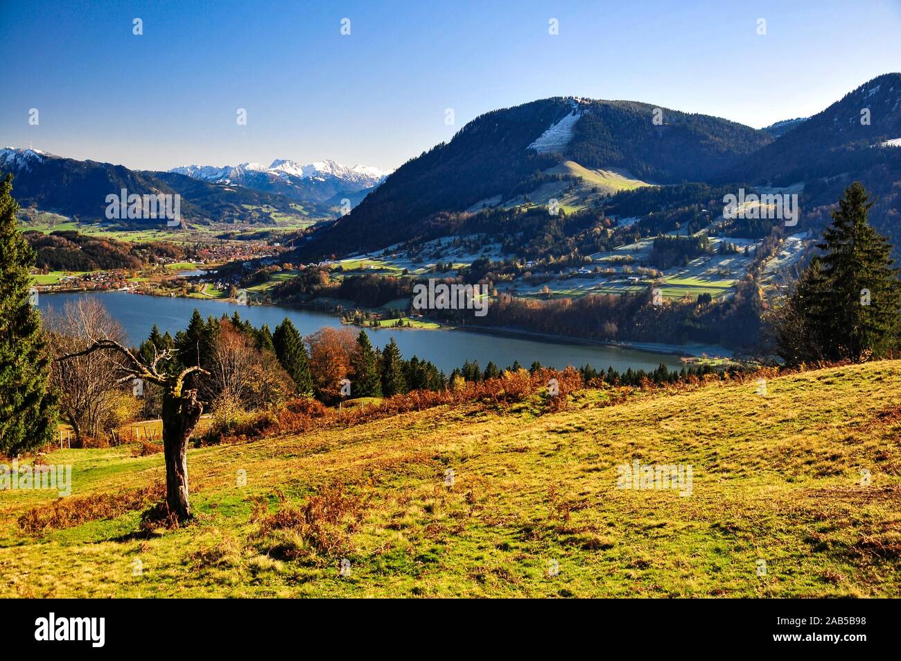 Blick auf den Alpsee und Immenstadt, rechts die Immenstädter Horn (1489 m), im Hintergrund der schneebedeckte Allgäuer Hochalpen, Allgäu, Schwaben, B Stockfoto