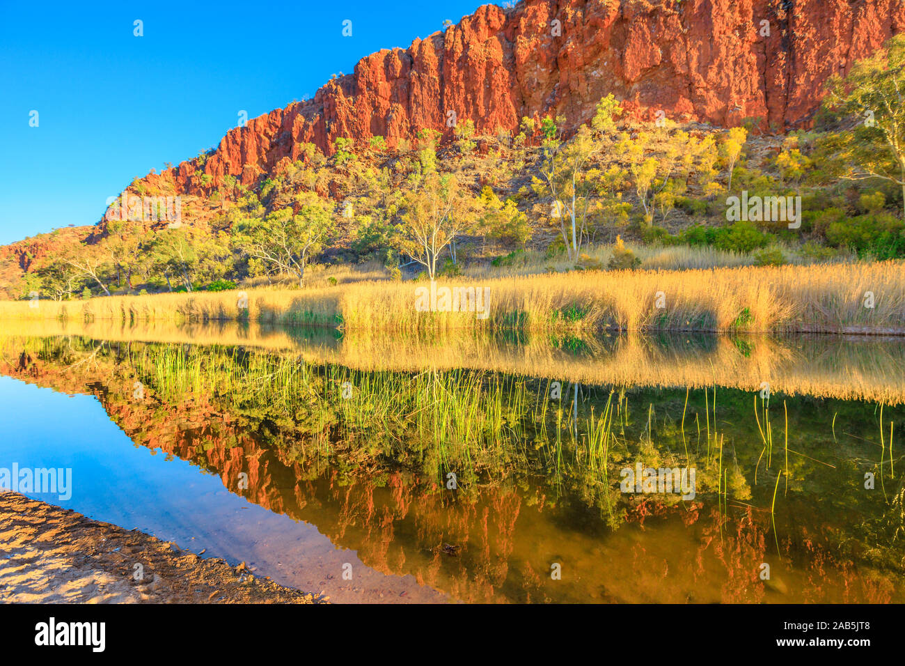 Glen Helen Gorge an der West MacDonnell Ranges, Northern Territory in Zentral Australischen Outback entlang Red Centre. Scenic roter Sandstein Mauer und Bush Stockfoto