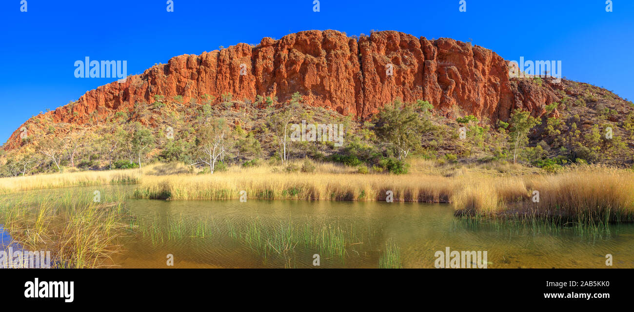 Spektakuläre Sandsteinmauer Glen Helen Gorge mit wasserloch Finke River. Panorama der Tjoritja - West MacDonnell Ranges, Northern Territory, Zentrale Stockfoto