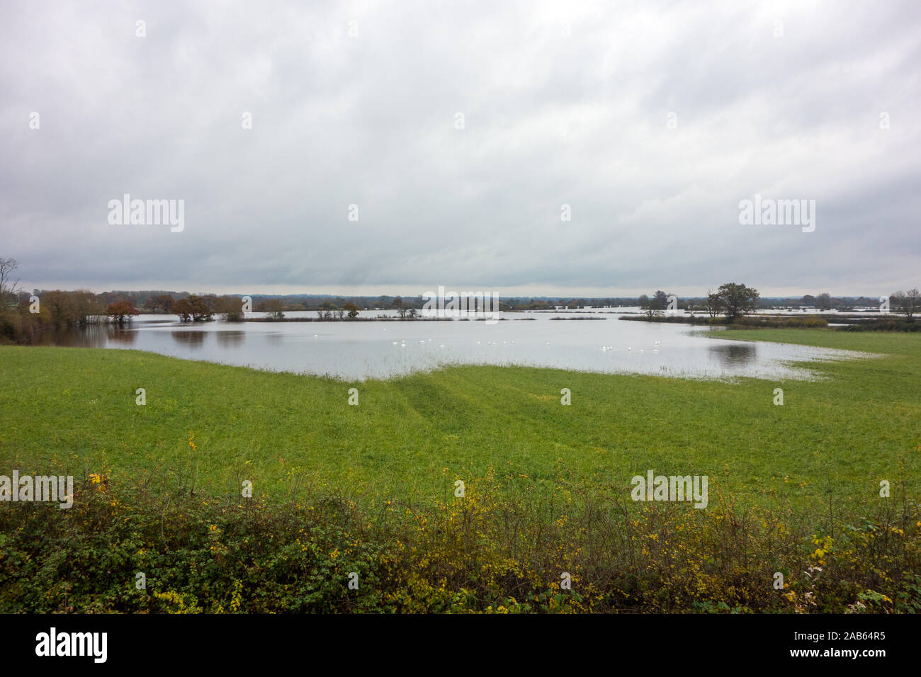 Überflutet Cheshire Ackerland während der Stürme und Starkregen von Herbst 2019 an den Flussauen an der Englischen walisischen Grenze an Farndon und Holt Stockfoto