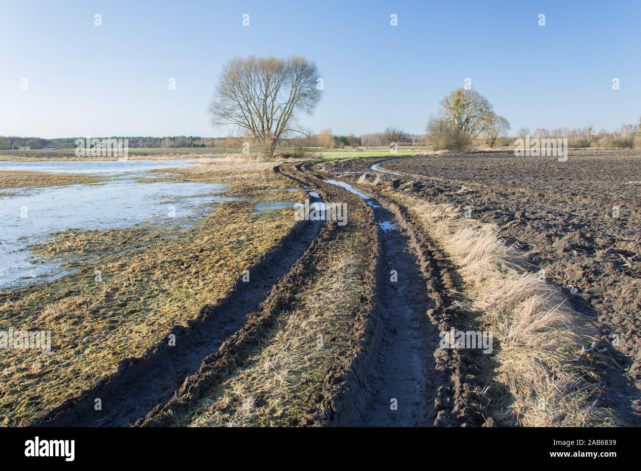 Wicklung schlammigen Weg durch Felder, einen Baum am Horizont und Sky-View an einem sonnigen Tag Stockfoto