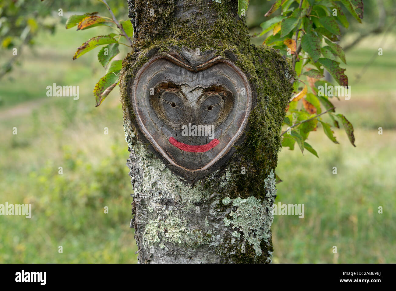 Wunderschöne natürliche Herz mit lächelndes Gesicht in alte Baumrinde mit Moos und Blättern in grüner Natur Stockfoto