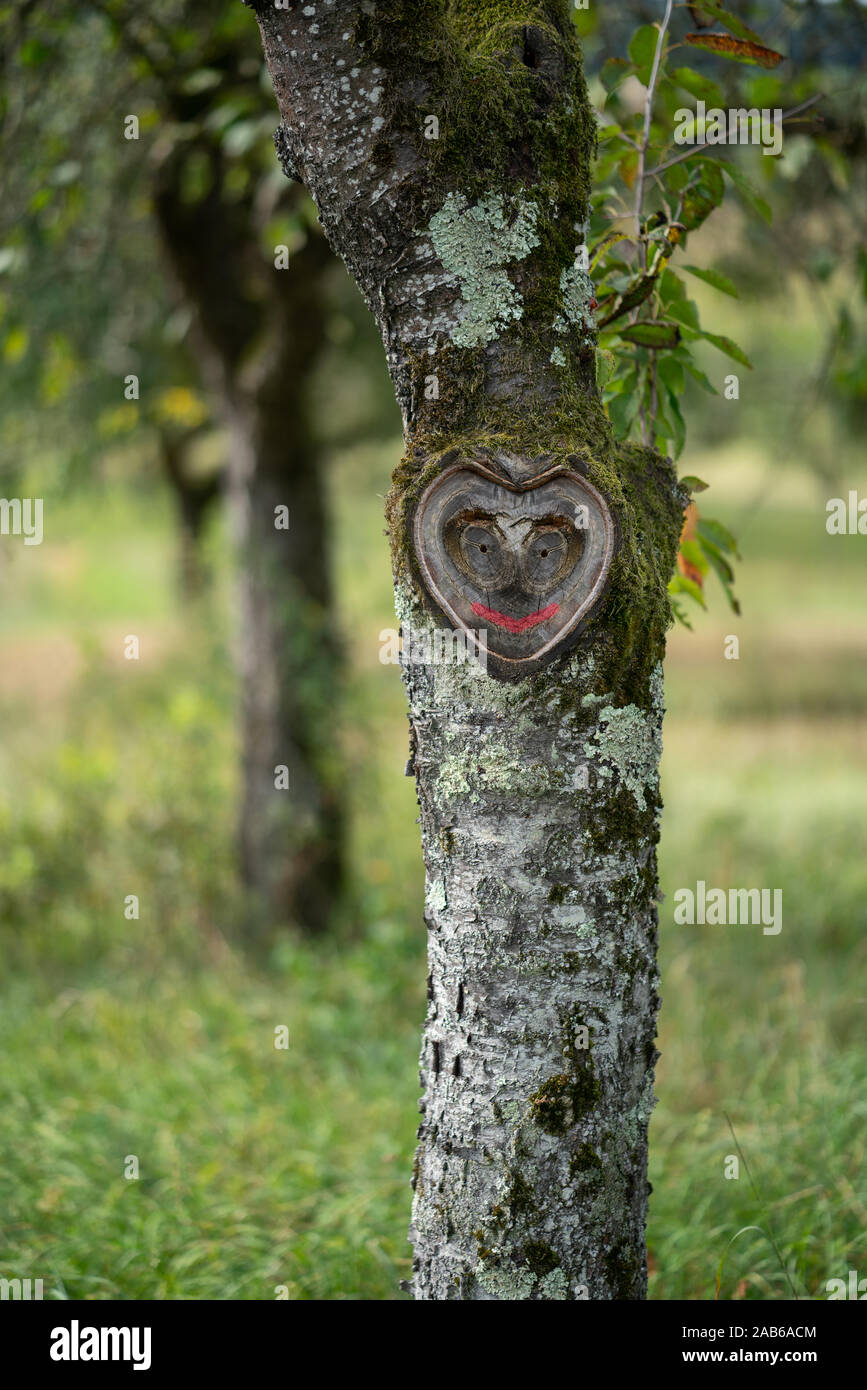 Wunderschöne natürliche Herz mit lächelndes Gesicht in alte Baumrinde mit Moos und Blättern in grüner Natur Stockfoto