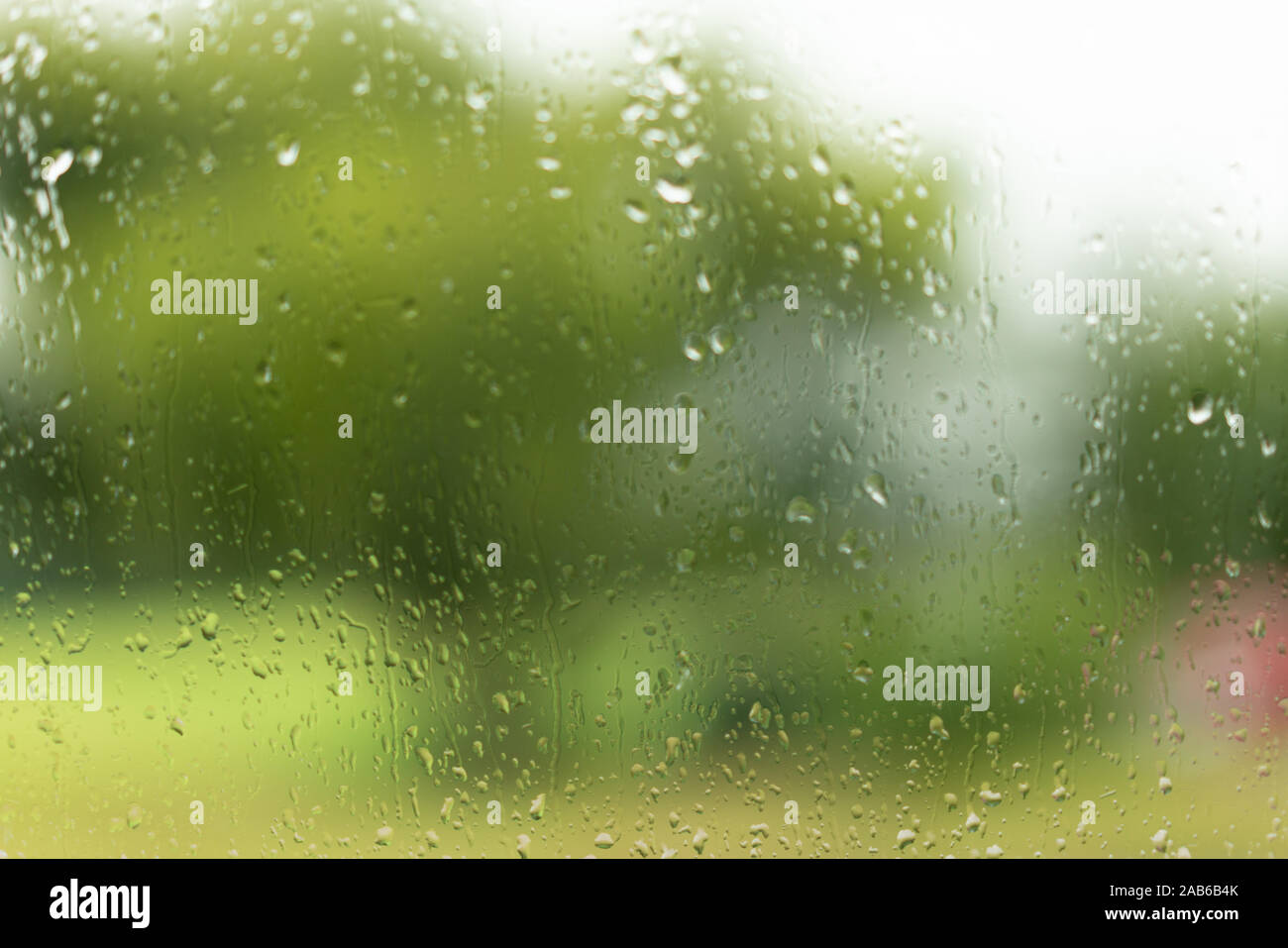 Blick durch ein nasses Glas, grün unscharfen Hintergrund Stockfoto