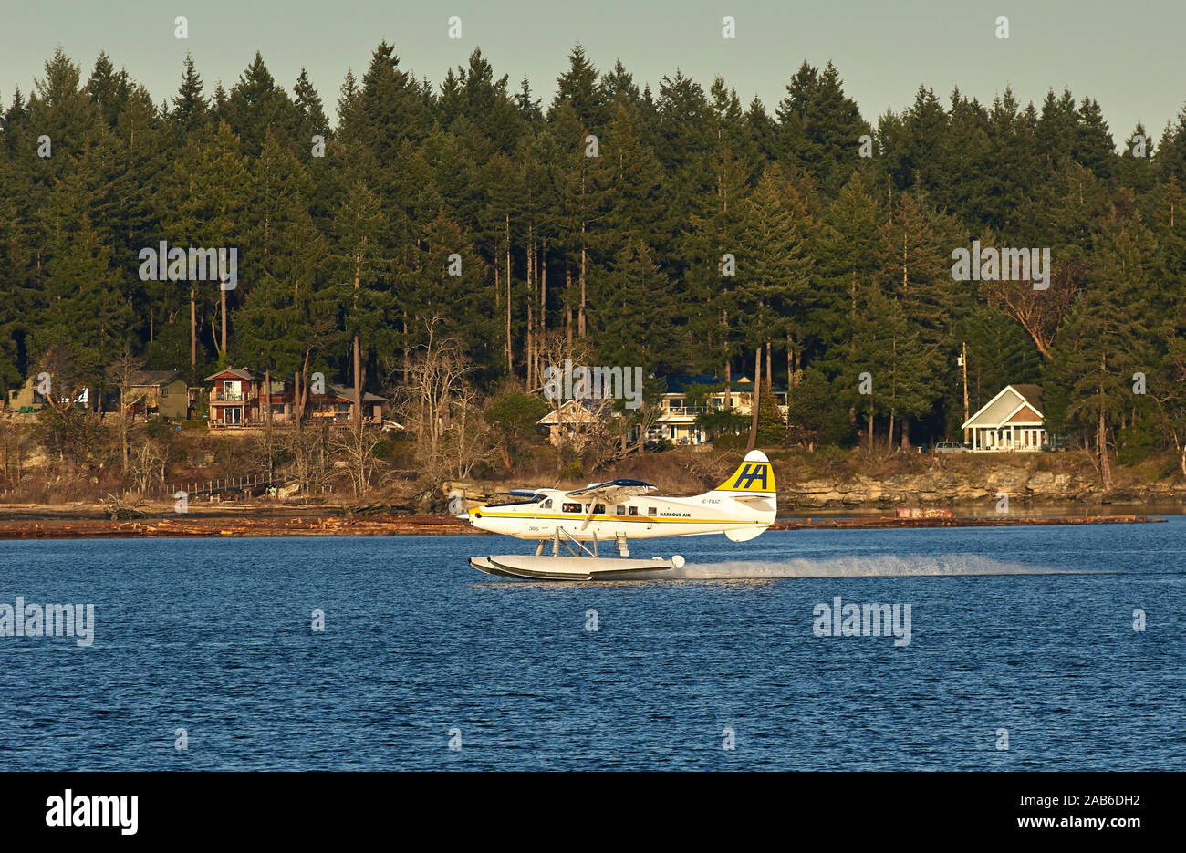 Harbor Air Float Flugzeug Landung im Hafen, Nanaimo, British Columbia, Kanada Stockfoto