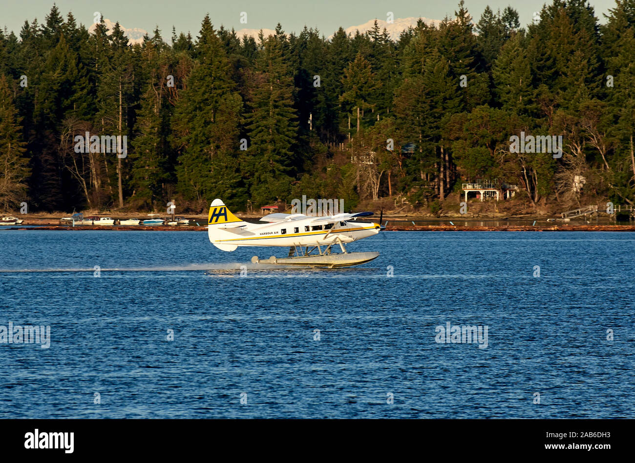 Harbour Air Wasserflugzeug hebt ab, Hafen von Nanaimo, British Columbia, Kanada Stockfoto