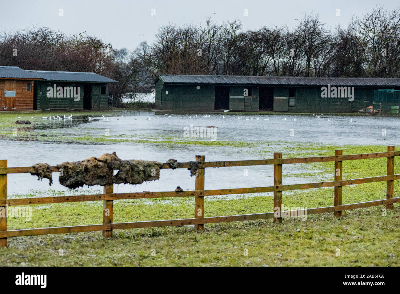 Am Stadtrand von Hochwasser betroffen Dorf Fishlake in der Nähe von Doncaster South Yorkshire. Stockfoto