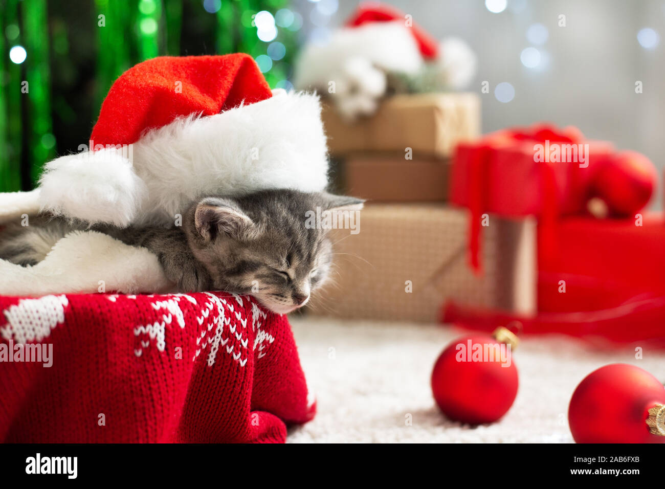 Weihnachten Katze tragen Klausenmütze schlafen auf Plaid unter Weihnachtsbaum mit verschwommenen festliche Dekoration. Adorable kleine tabby Kitten, Kitty, Cat. Gemütliche Stockfoto