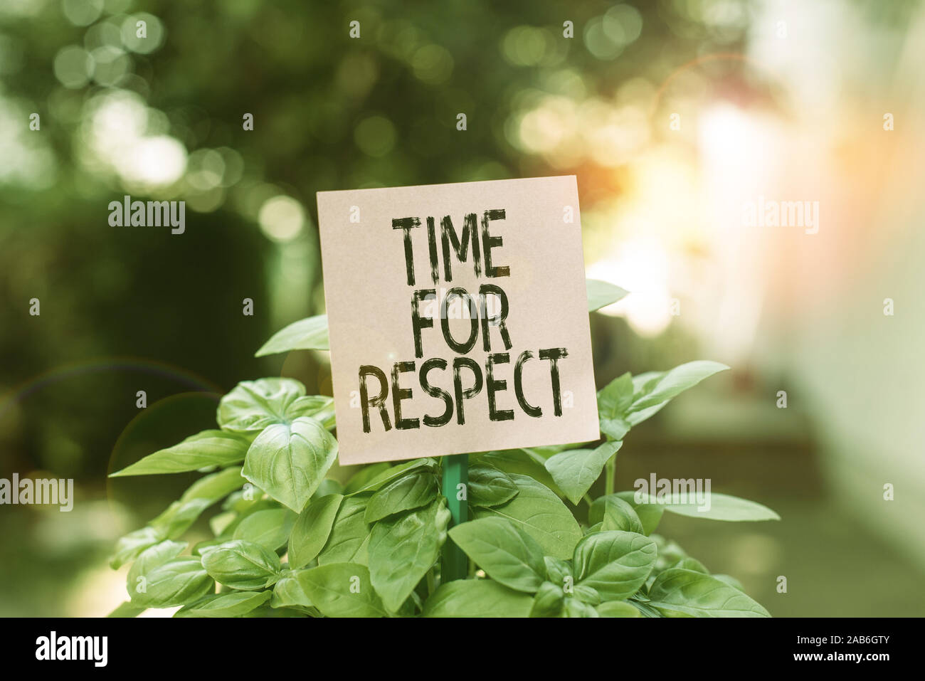 Text Zeichen für Respekt zu zeigen. Business Foto präsentieren, wenn sie bitte alle ihre Höhe zu beobachten, mit ihnen einfach leere Papier befestigt Stockfoto