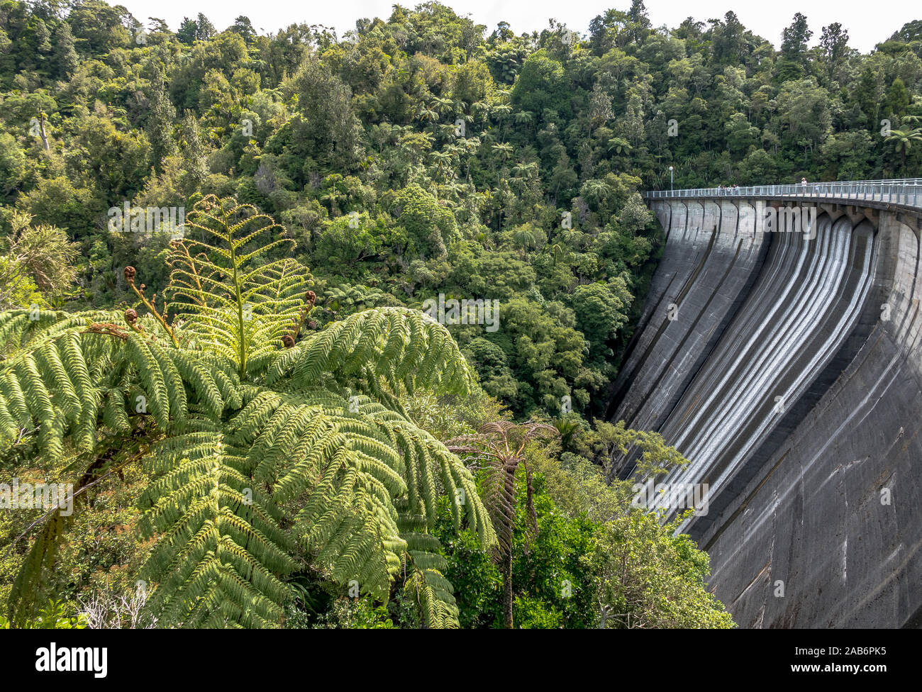 Waitakere Wasserversorgung Damm in Auckland, Neuseeland Stockfoto