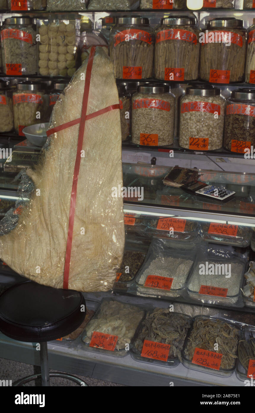 Getrocknete marine Proben in der chinesischen Medizin. Die großen Fin ist wahrscheinlich aus einem riesenhaie. Hongkong Stockfoto