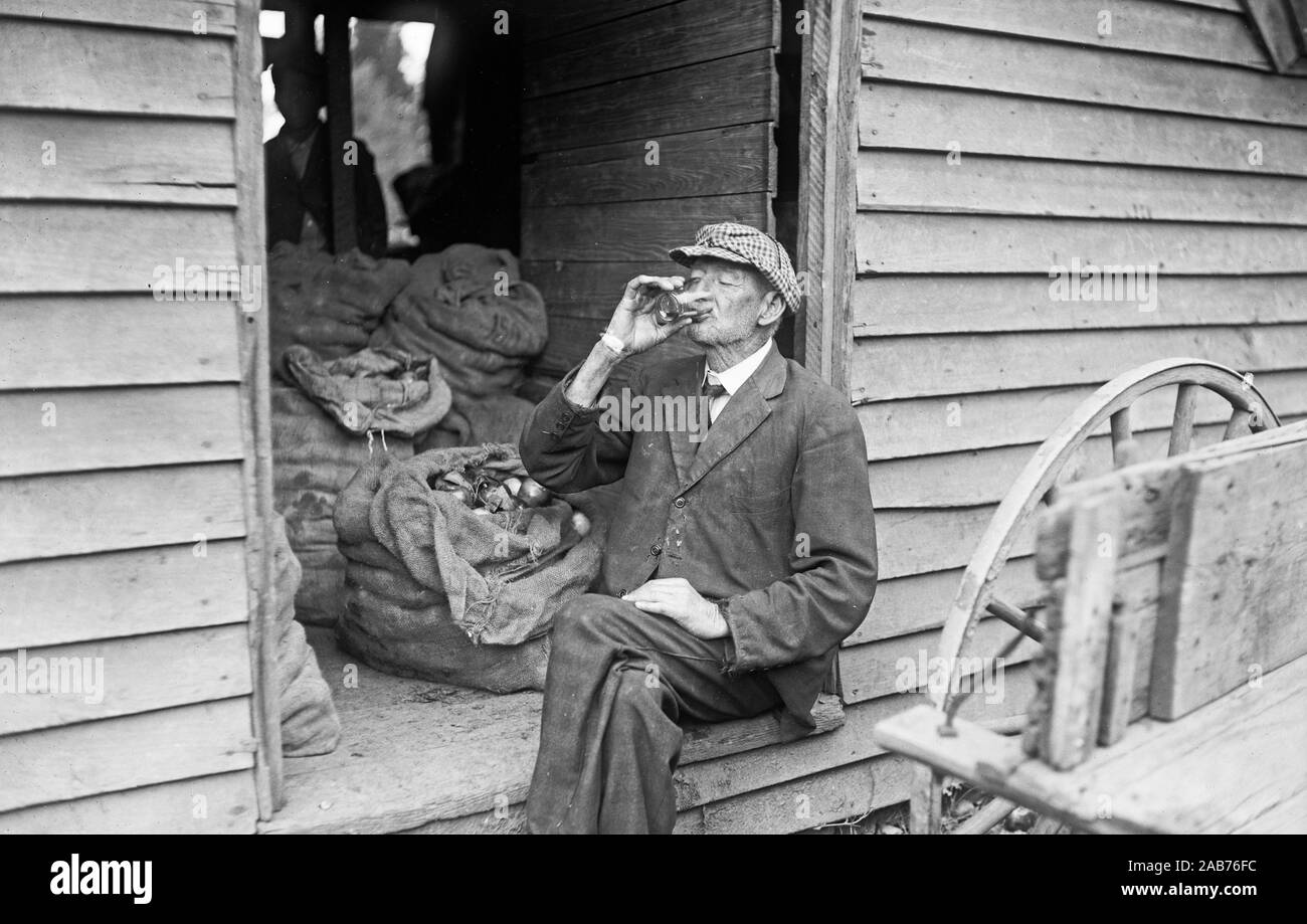 Mann mit einem Drink in einem Apple Orchard Ca. 1915-1923 Stockfoto