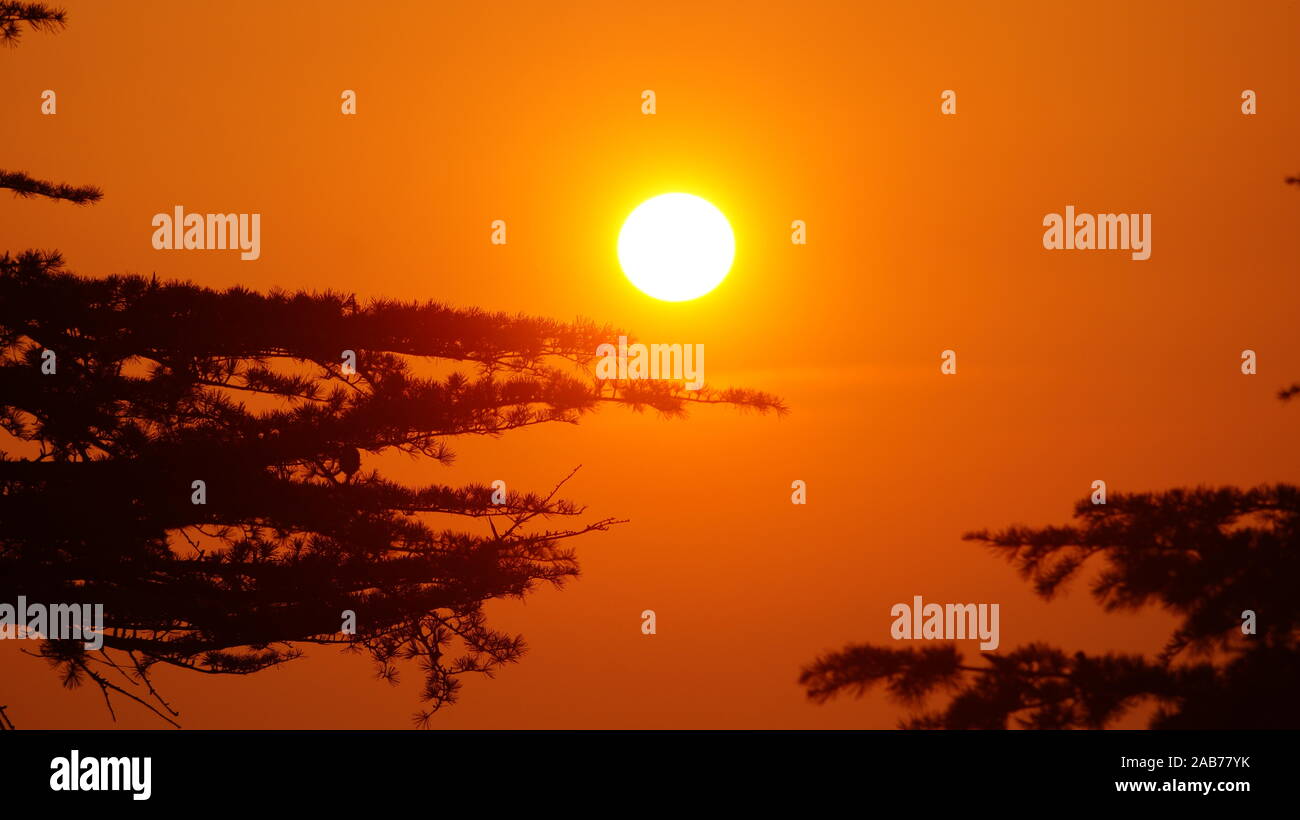 Wenn die Jungen und Mädchen zu Fuß auf den Weg in den Sonnenuntergang Hand-in-Hand in der letzten Szene, fügt es 10 Millionen an der Abendkasse. Stockfoto