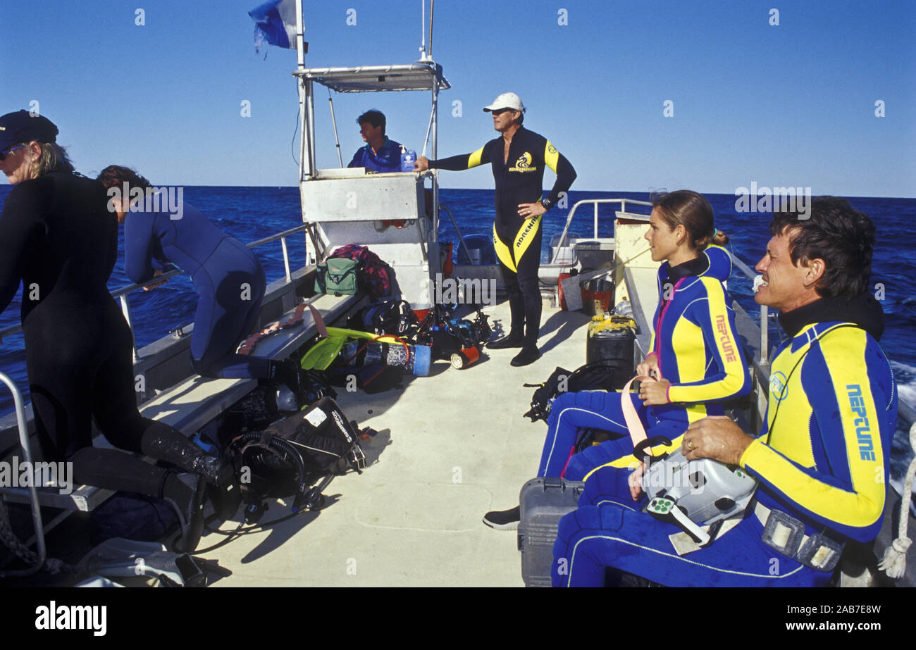 Taucher im Neoprenanzug auf dem Boot, Lady Elliott Island Resort Tauchen Expedition. Lady Elliott Island, Great Barrier Reef, Queensland, Australien Stockfoto