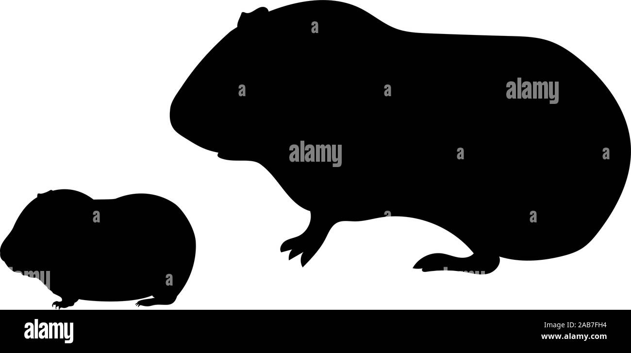 Silhouette von Meerschweinchen und jungen kleinen Meerschweinchen. Vektor Illustrator Stock Vektor