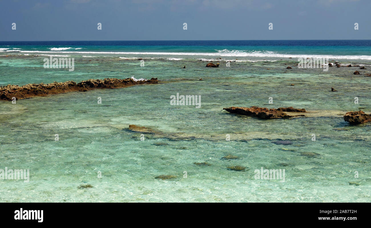 Marine, Zimt Dhonveli Island, North Male Atoll, Malediven Stockfoto