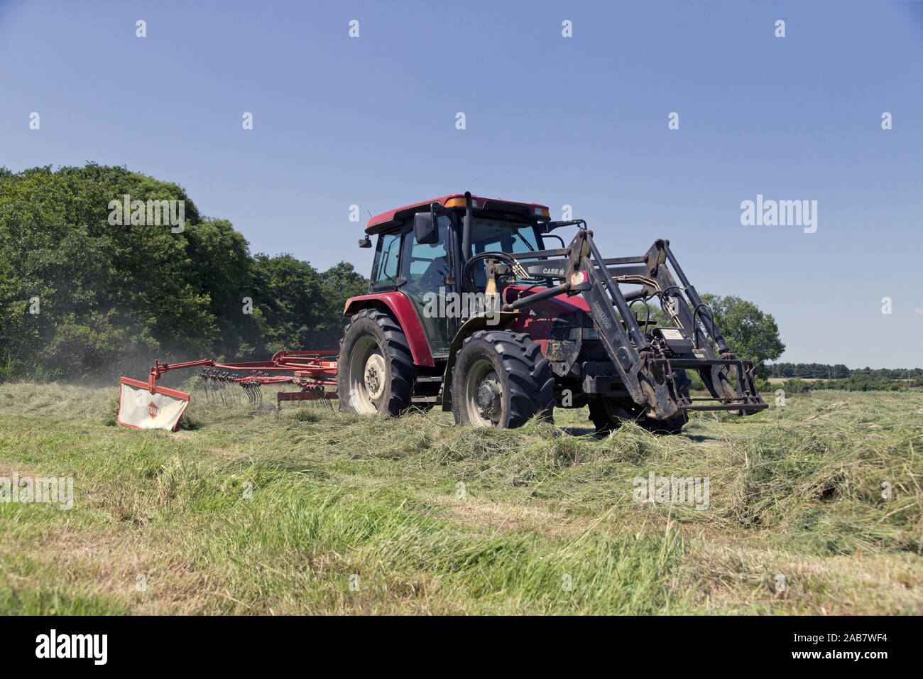 Bauer Sammeln von geschnittenem Gras in Zeilen für das Pressen von Maschine zu sammeln, Sudbourne, Suffolk, England, Juni Stockfoto