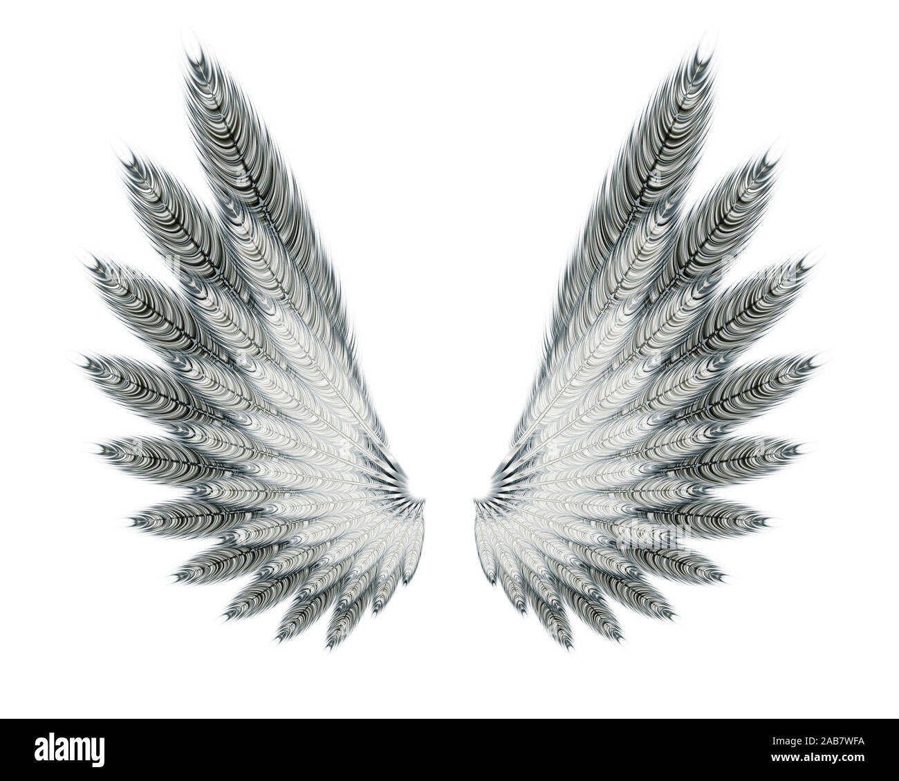 Weiss-graue Fluegel vor weissem Hintergrund Stockfoto