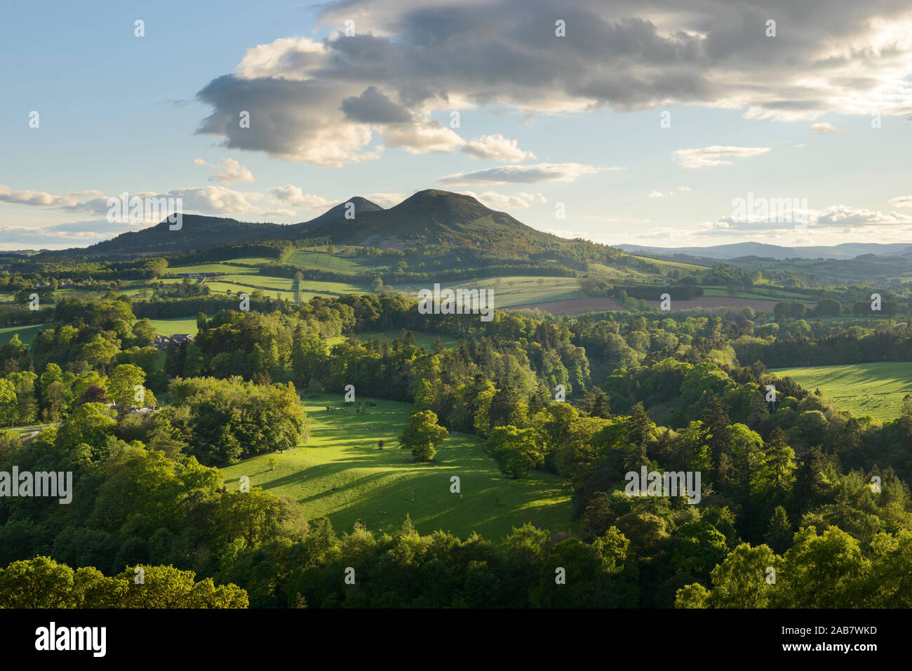 Die Eildon Hills in den Scottish Borders, von Scott's Blick auf Bemersyde, Schottland, Großbritannien, Europa fotografiert. Stockfoto