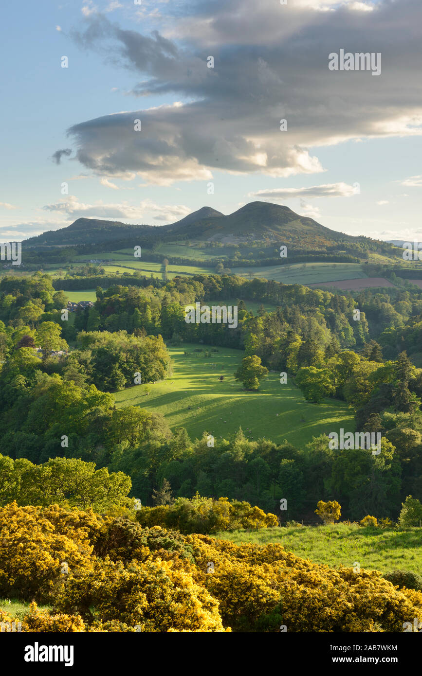 Die Eildon Hills in den Scottish Borders, von Scott's Blick auf Bemersyde, Schottland, Großbritannien, Europa fotografiert. Stockfoto