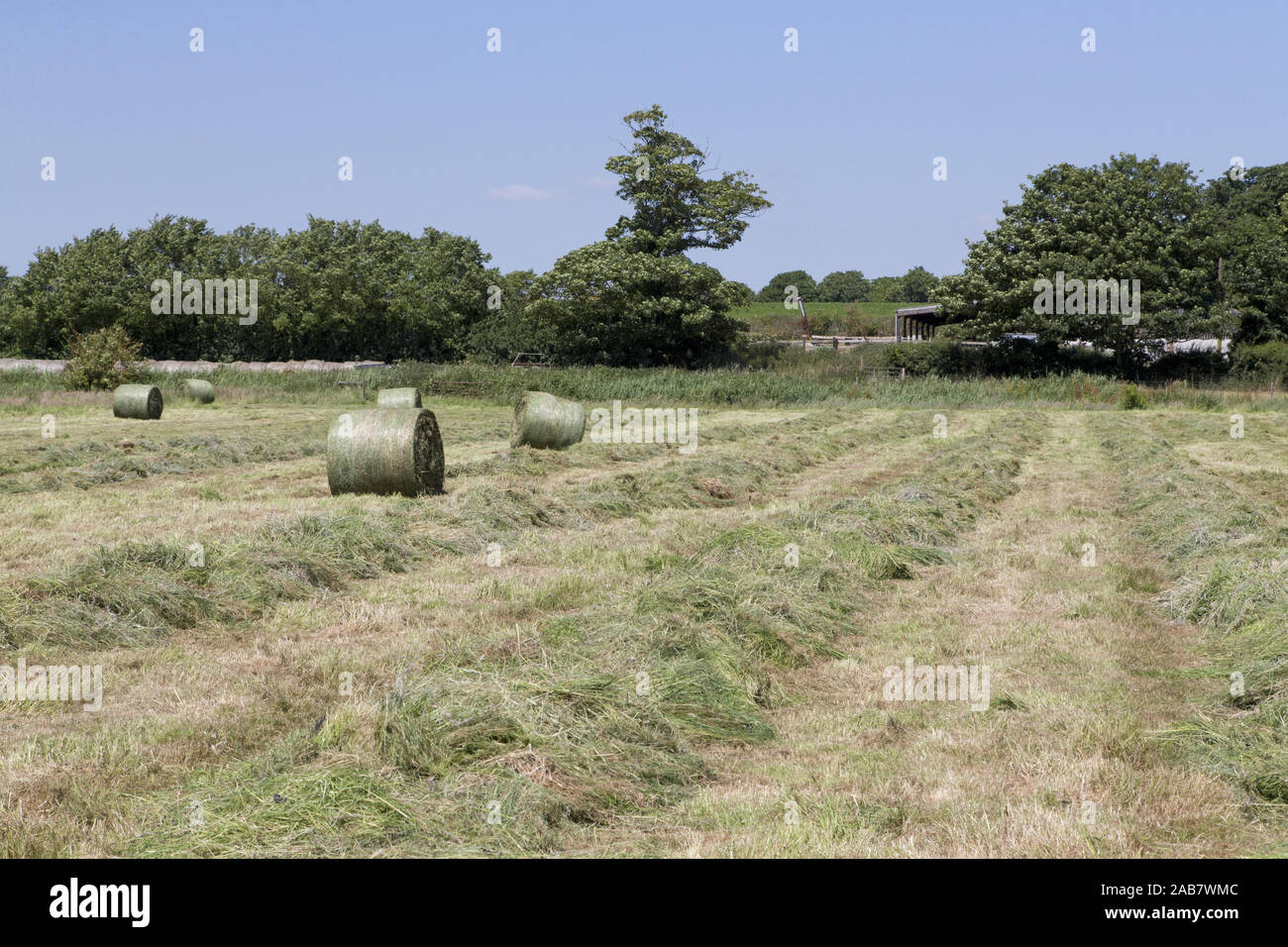 Blick auf Ackerland mit Bereich der gemähten Gras und Silageballen, Sudbourne, Suffolk, England, UK, Juni Stockfoto