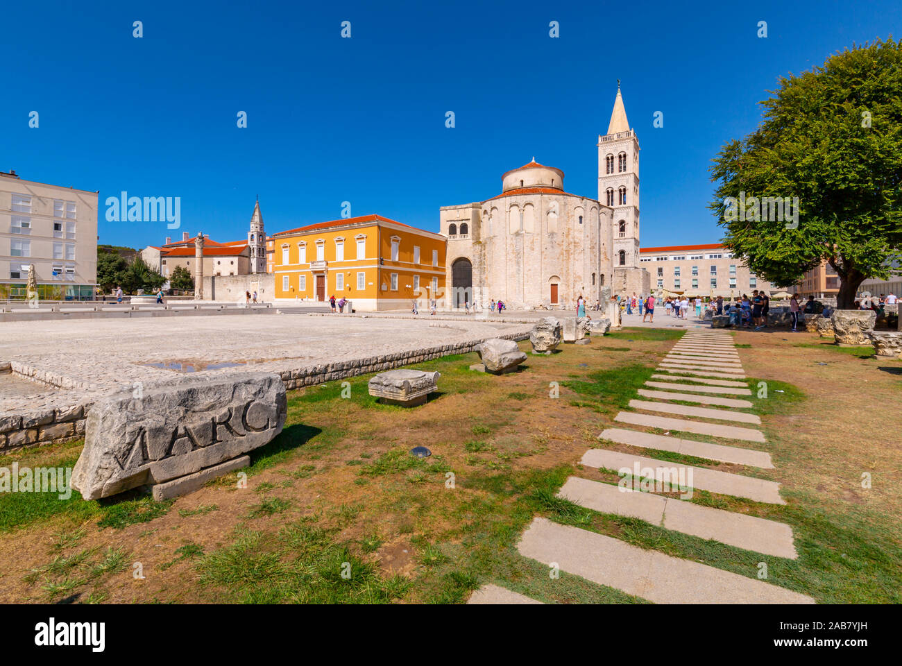 Ansicht der Kathedrale der hl. Anastasia, Zadar, Gespanschaft Zadar, Dalmatien, Kroatien, Europa Stockfoto