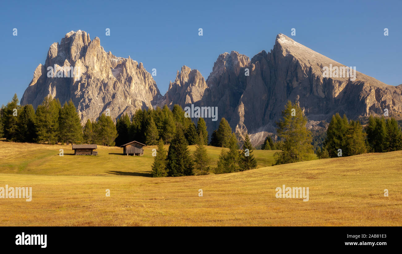 Seiser Alm, Seiser Alm, Südtirol, Dolomiten, Italien, Europa Stockfoto