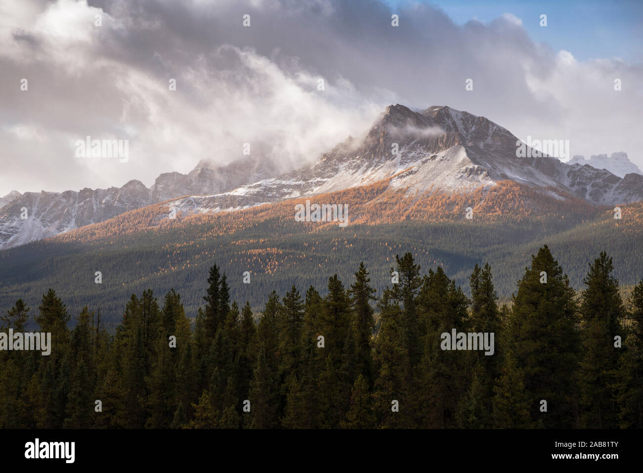 Gebirge auf der Morant Kurve im Herbst Laub, Banff Nationalpark und UNESCO-Weltkulturerbe, Alberta, Rocky Mountains, Kanada, Nordamerika Stockfoto