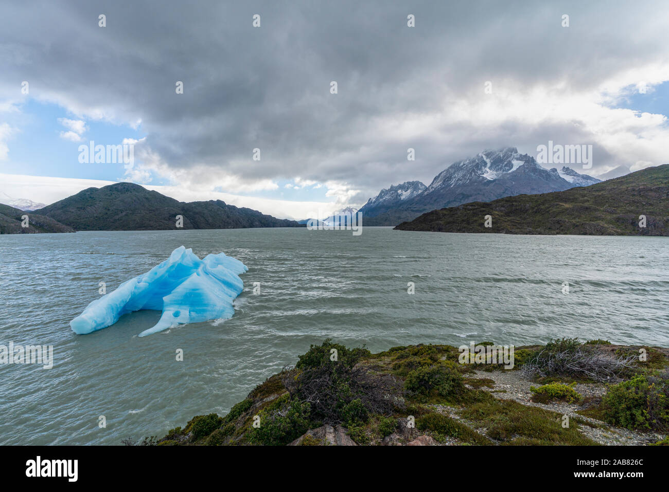 Eisberge auf dem Lago Grey, mit Cerro Paine Grande und Grey Gletscher im Hintergrund, Torres del Paine Nationalpark, Chile, Südamerika Stockfoto