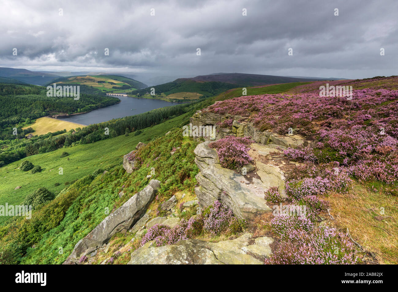 Bamford Kante mit Heidekraut mit Blick auf Ladybower Reservoir, Bamford, Derbyshire, England, Vereinigtes Königreich, Europa Stockfoto