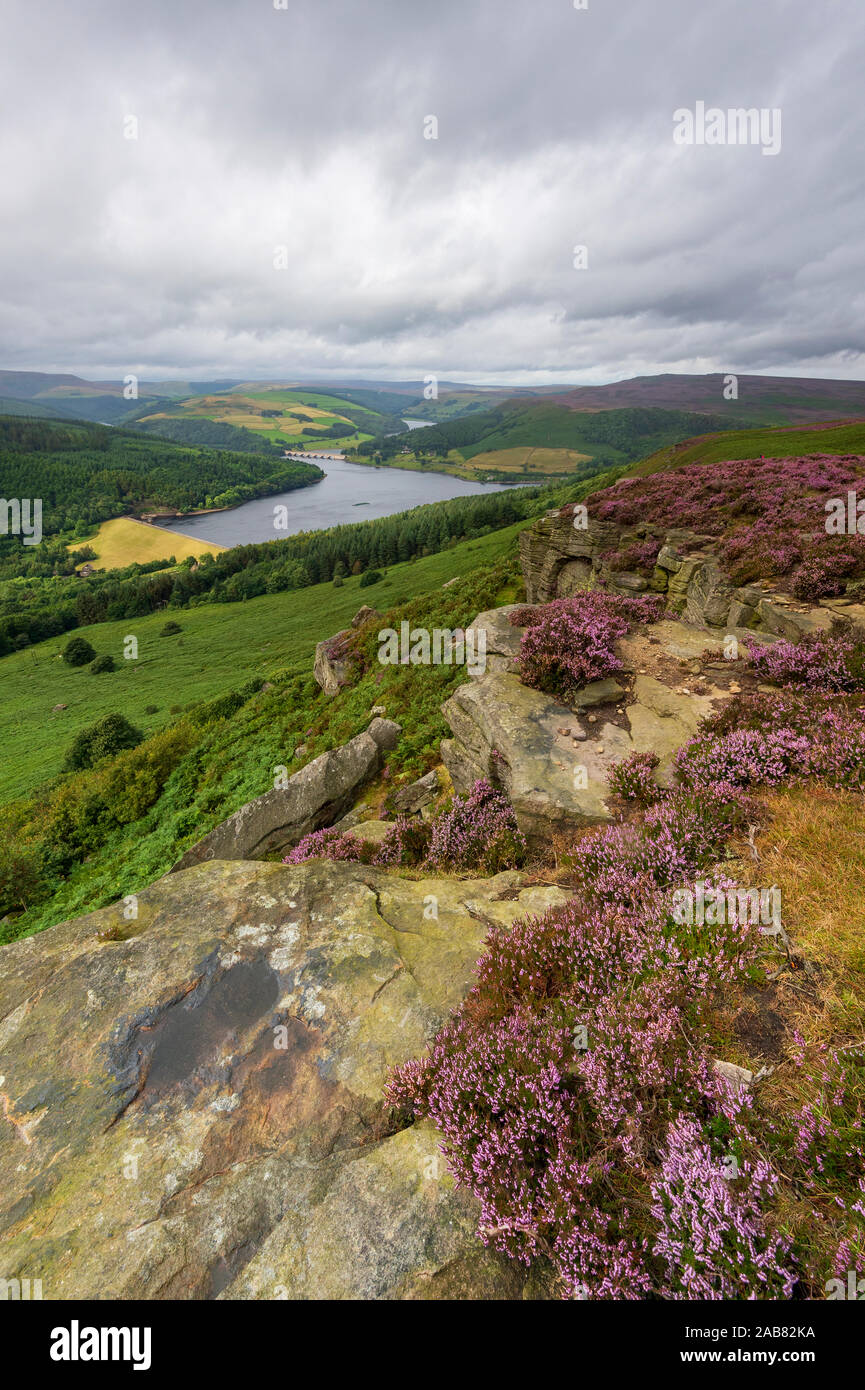 Bamford Kante im Sommer mit Heidekraut mit Blick auf Ladybower Reservoir, Bamford, Derbyshire, England, Vereinigtes Königreich, Europa Stockfoto