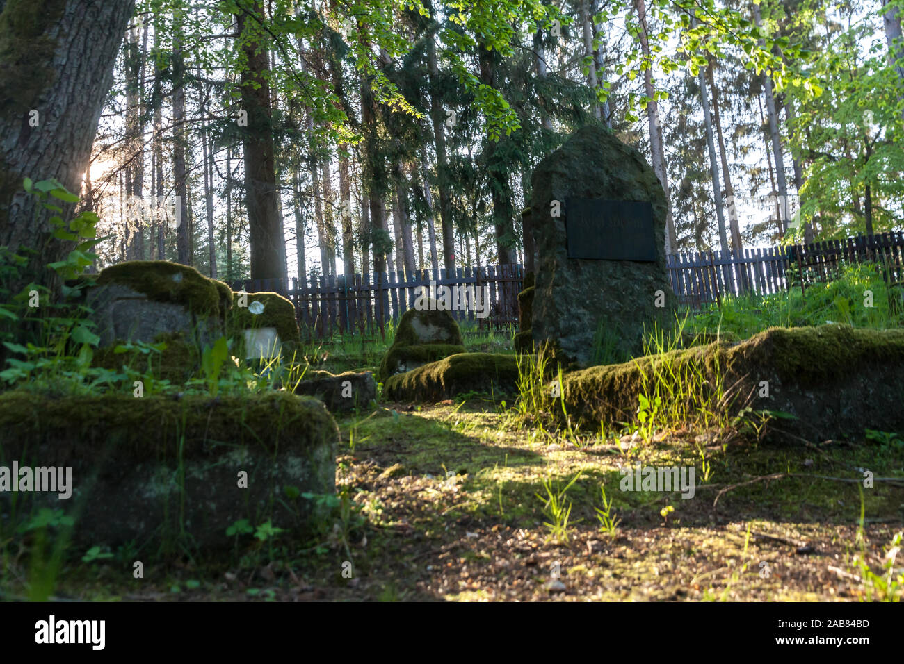Grabsteine eines alten vergessenen Friedhof Stockfoto