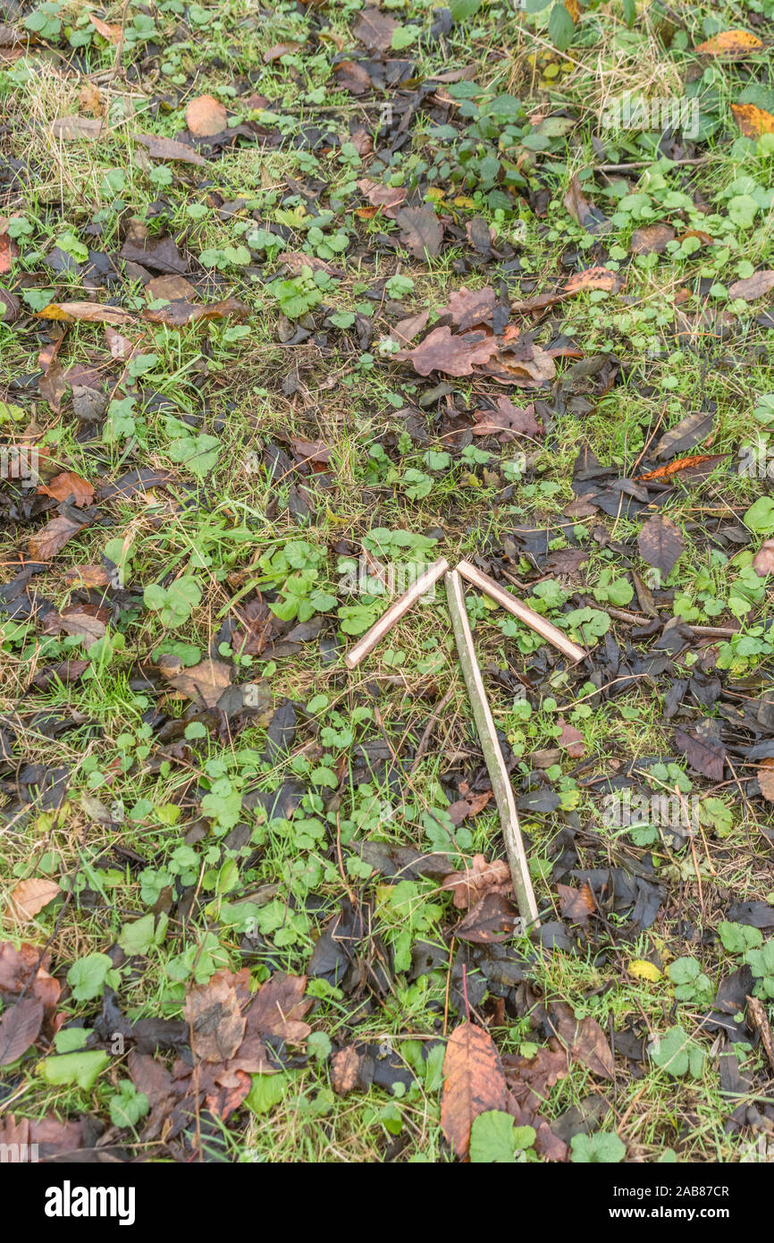 Survival skills Konzept. Signal Pfeil auf Blätter mit "Dieser Weg" / "Verfahren" in dieser Richtung, die Richtung der Bewegung oder Position zu zeigen. Stockfoto