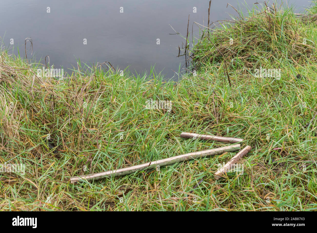 Survival skills Konzept. Signal Pfeil durch Fluss zeigt 'auf diese Weise' / 'Verfahren in diese Richtung "Bewegungsrichtung oder Position zu zeigen. Stockfoto