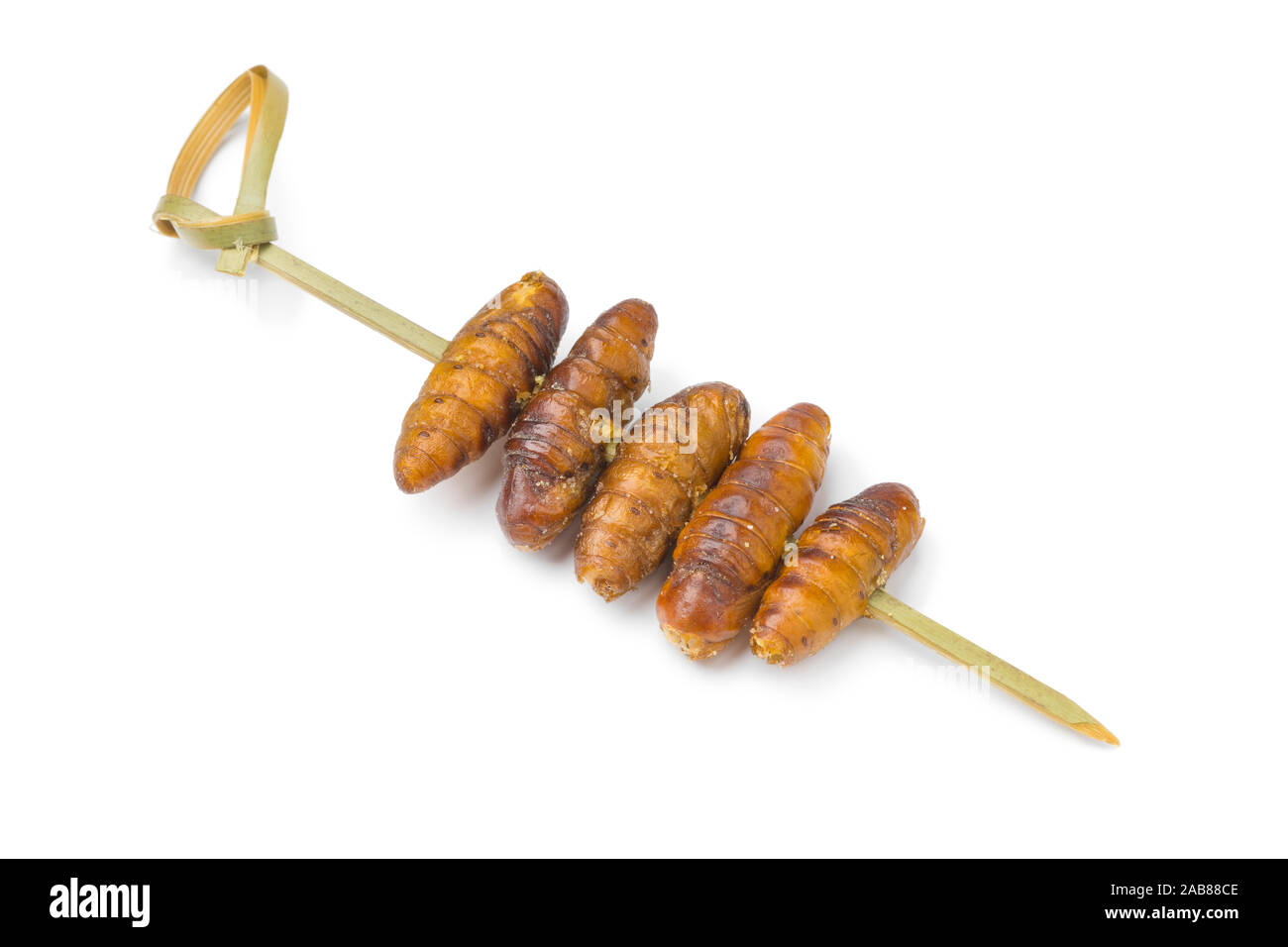 Knusprige gesalzen Seidenraupen in der Nähe auf einem Stick für einen Snack auf weißem Hintergrund Stockfoto