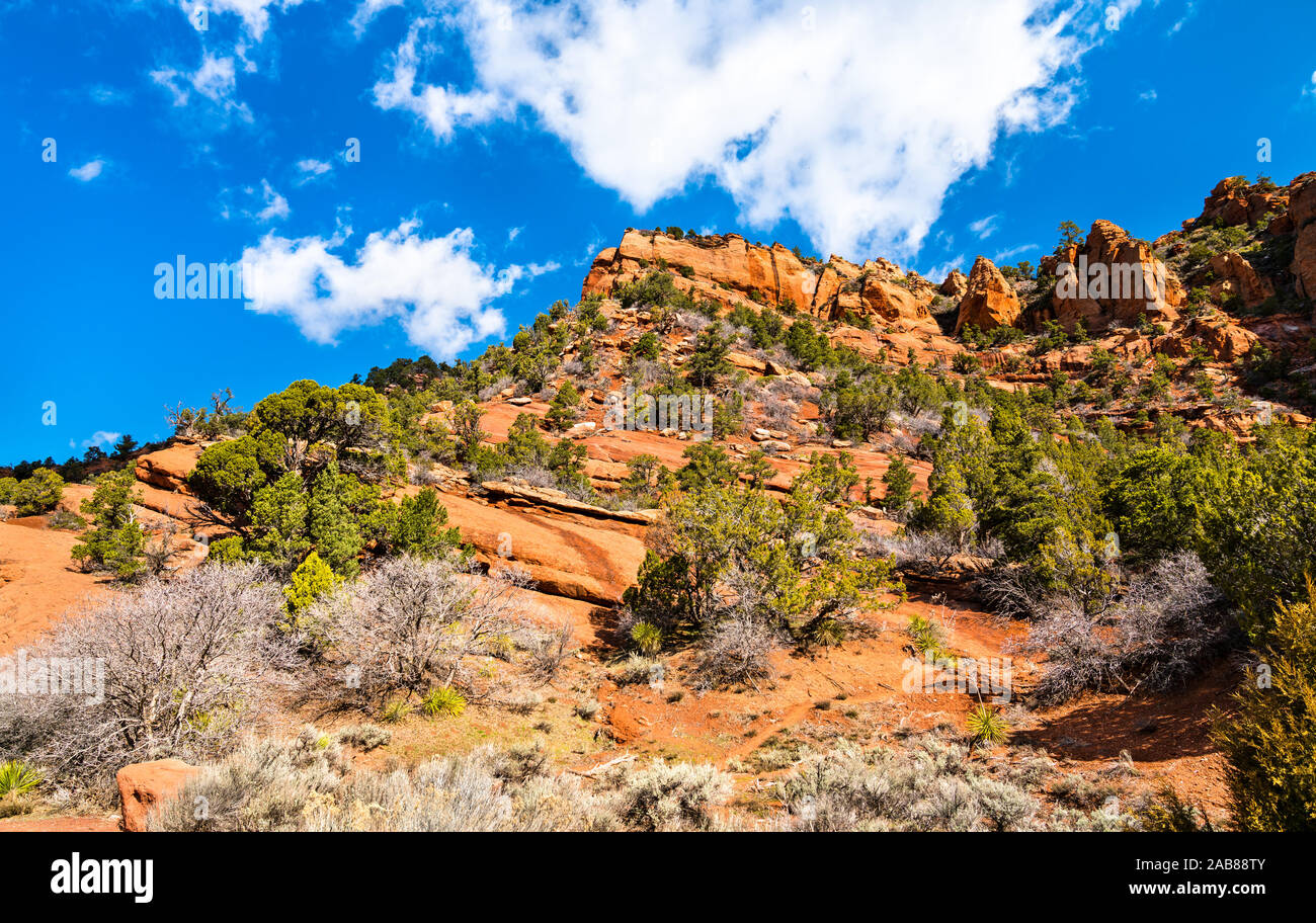 Landschaft von Kolob Canyons in Utah, United States Stockfoto