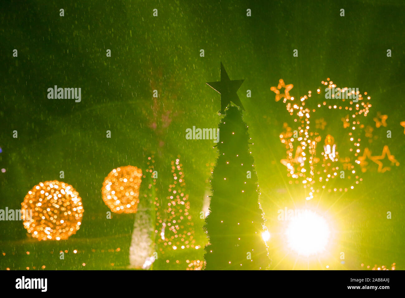 Berlin, Deutschland. 22 Nov, 2019. 22.11.2019, Berlin: ein Stern auf dem Weihnachtsbaum im Tierpark Berlin Credit: Georg Wenzel/dpa-Zentralbild/ZB/dpa/Alamy leben Nachrichten Stockfoto