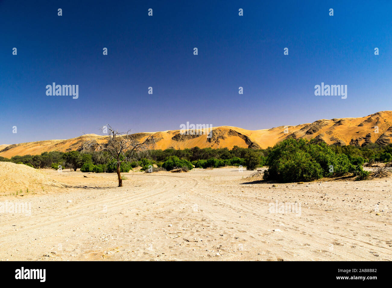 Schotterstraße, endet an der roten Dünen der Namib Wüste mit Kuiseb Riverbed vor, Namibia, Afrika Stockfoto