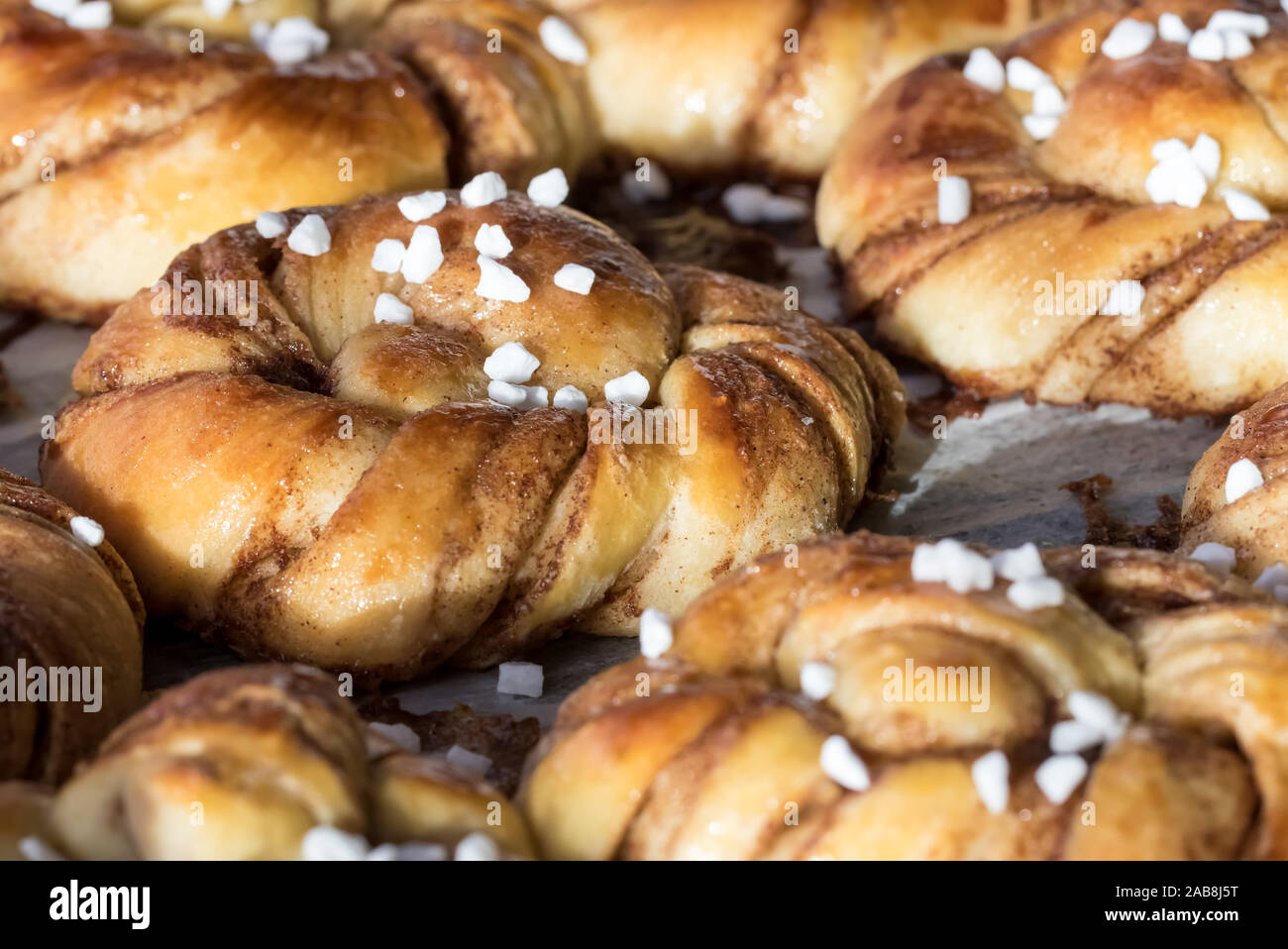 Nahaufnahme einer frischen Charge der Schwedische Zimtschnecken mit Perle Zucker, Kühlung von einem sonnigen Fenster. Stockfoto