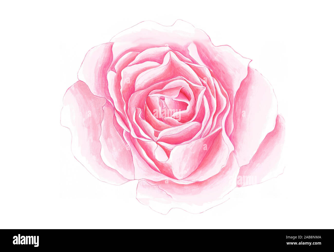Zarte Hintergrund mit gemalten rose. Hintergrund mit Rose. Aquarell rose Abbildung Stockfoto