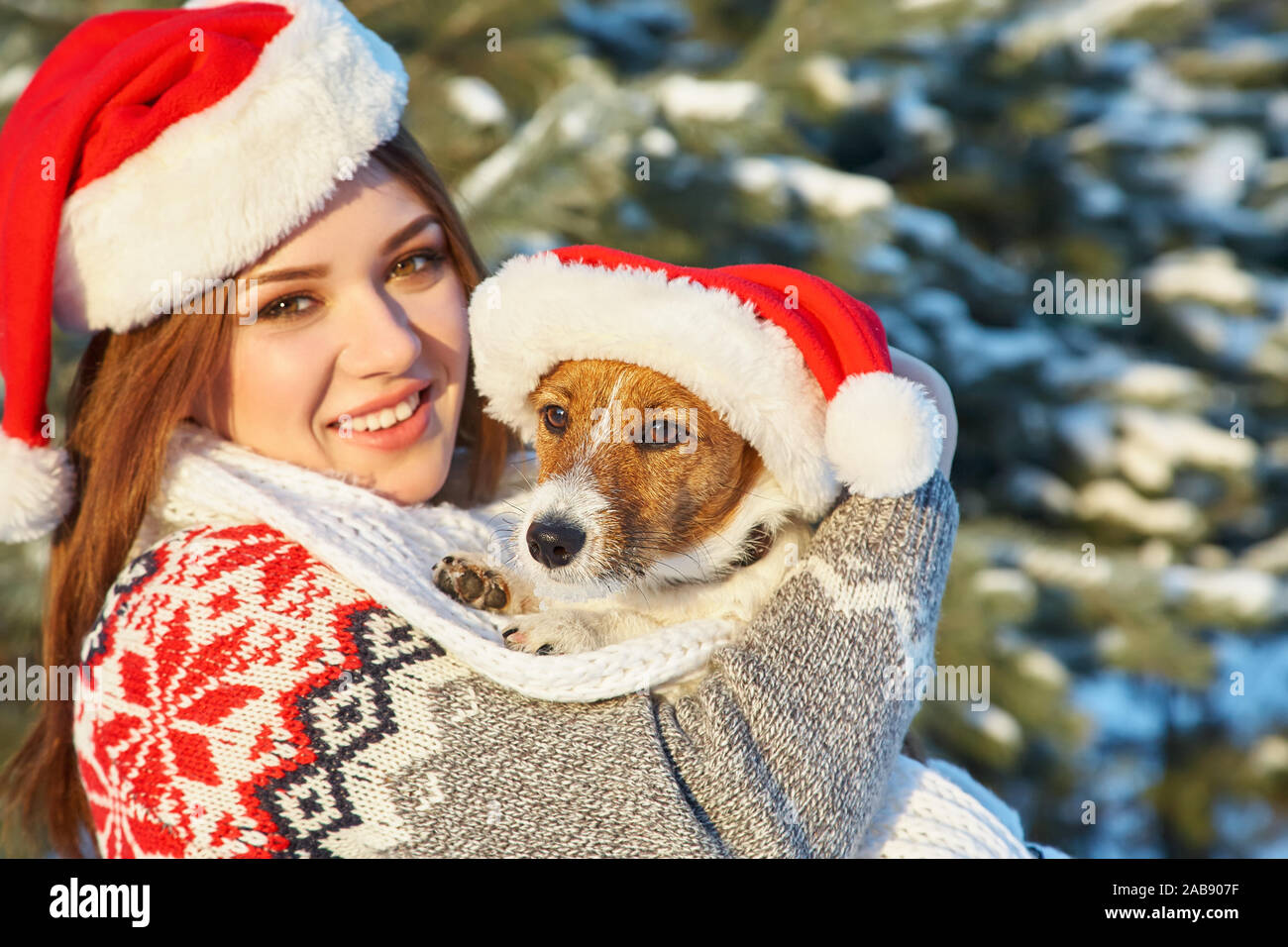 Jack Russell Terrier Hund in rote Weihnachtsmütze mit Inhaber Frau im Winter im Freien Stockfoto