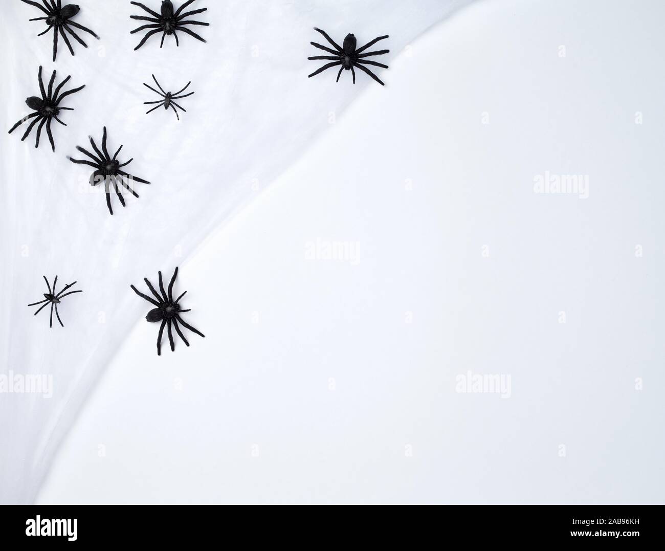 Black Wood Spider Stockfotos Black Wood Spider Bilder Alamy