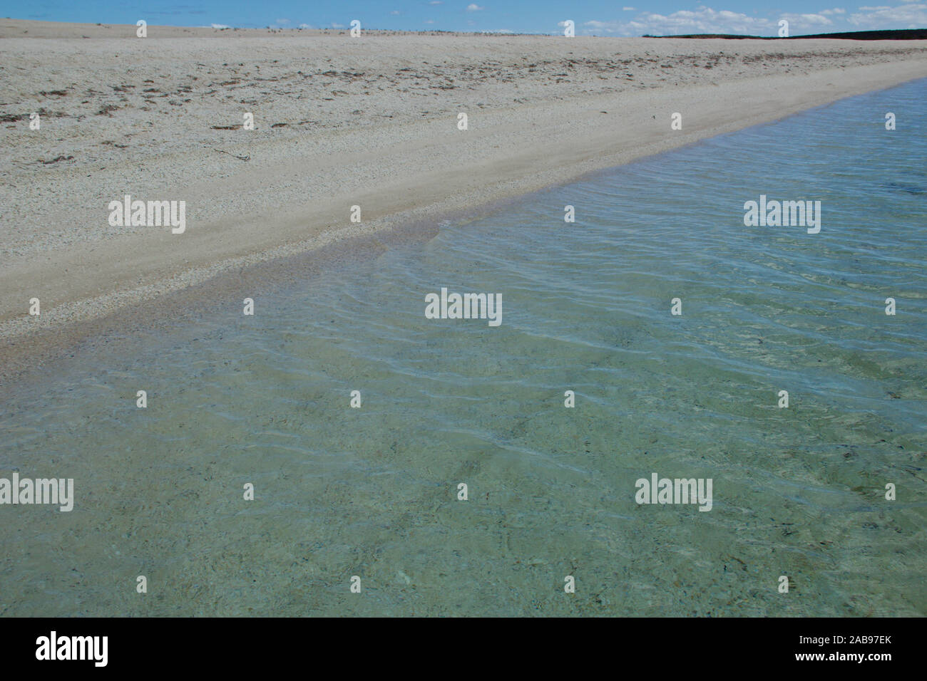 Shell Beach western Australia anzeigen Stockfoto