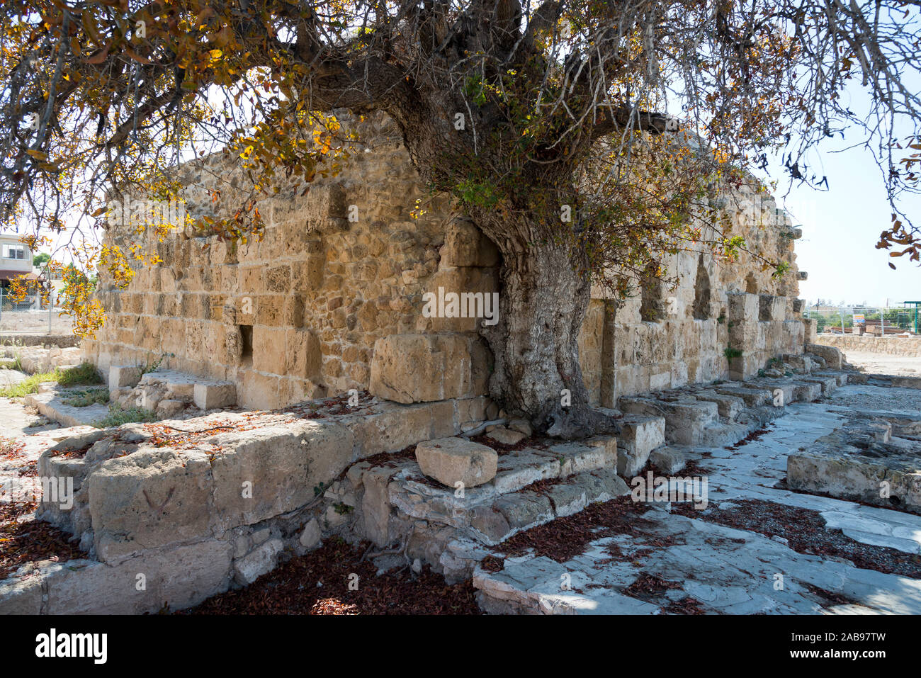 Mittelalterliche osmanische Bäder Paphos, Zypern Stockfoto
