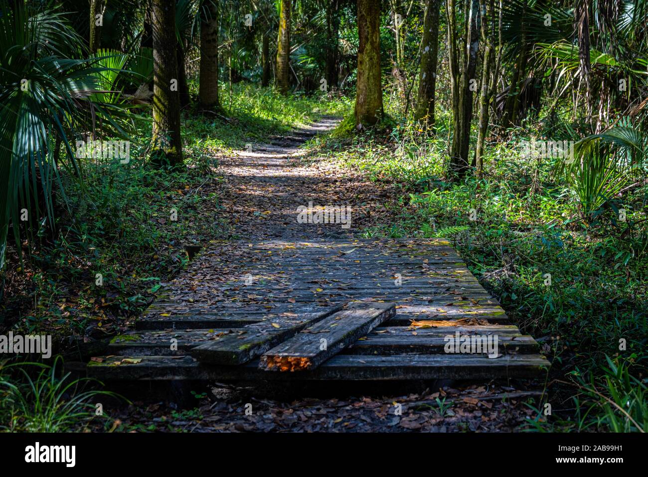 Eine kleine Brücke, die ich gefunden habe, beim Wandern! Stockfoto