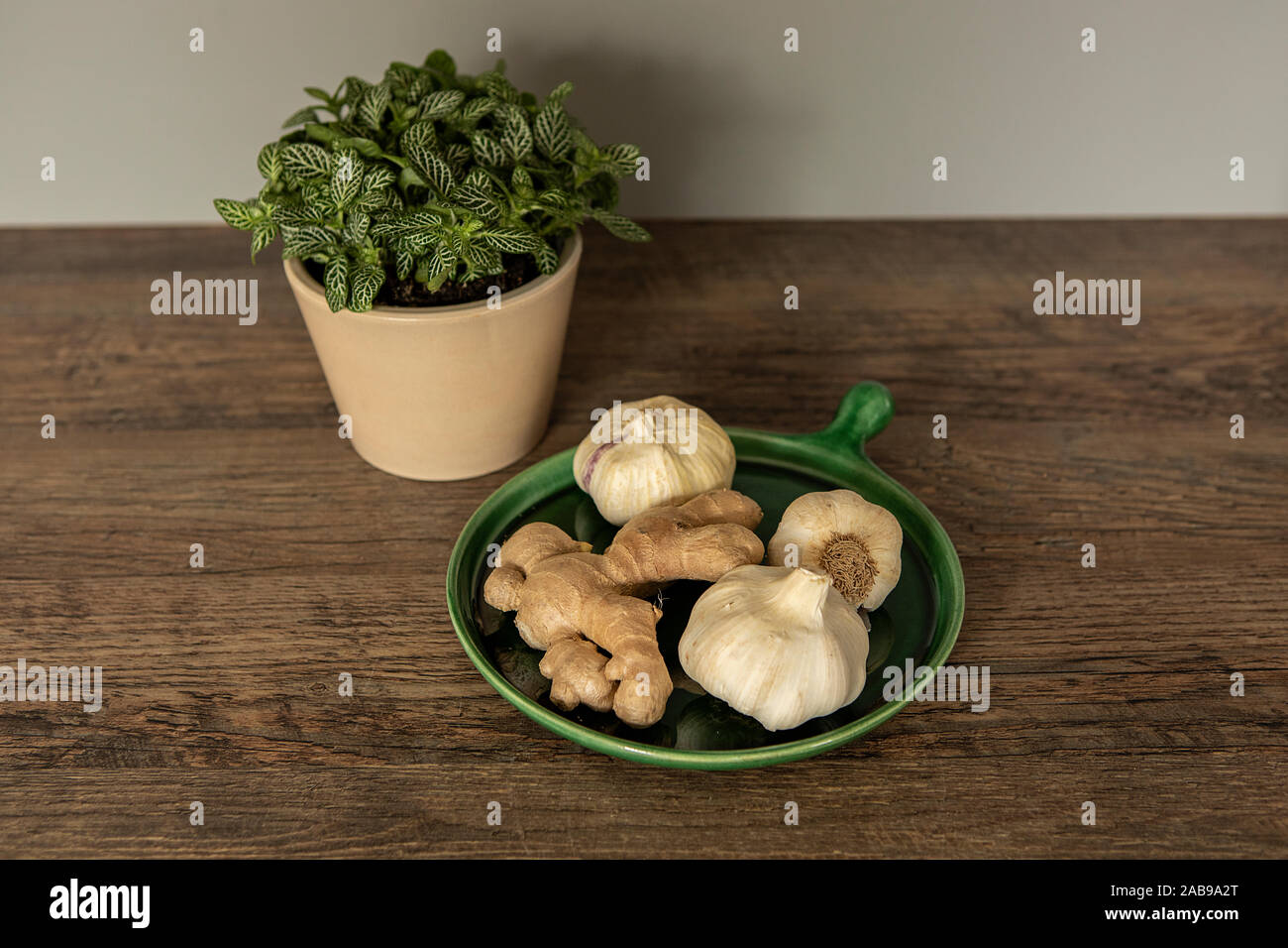 Frischer Knoblauch und Ingwer auf dem Küchentisch, Konzept für natürliche Medizin. Behandlung der Grippe durch eine natürliche Methode. Natürliche Methode der immun zu steigern Stockfoto