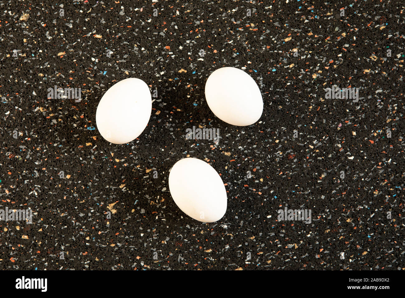 Abstrakte Anordnung mit Baum Eier liegt auf Schwarz speckle Hintergrund. Minimalistisch weiße Eier flach noch leben, essen Kunst Pop Art Stil. Neues Leben c Stockfoto