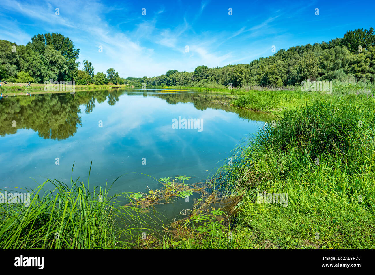 Donau Rückstau in Gemenc Wald im Nationalpark Donau-Drau Ungarn Stockfoto